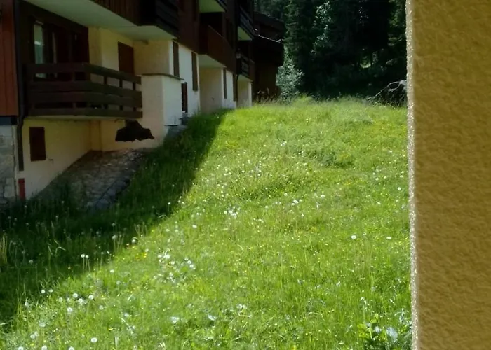 Appartement Au Pied Des Pistes